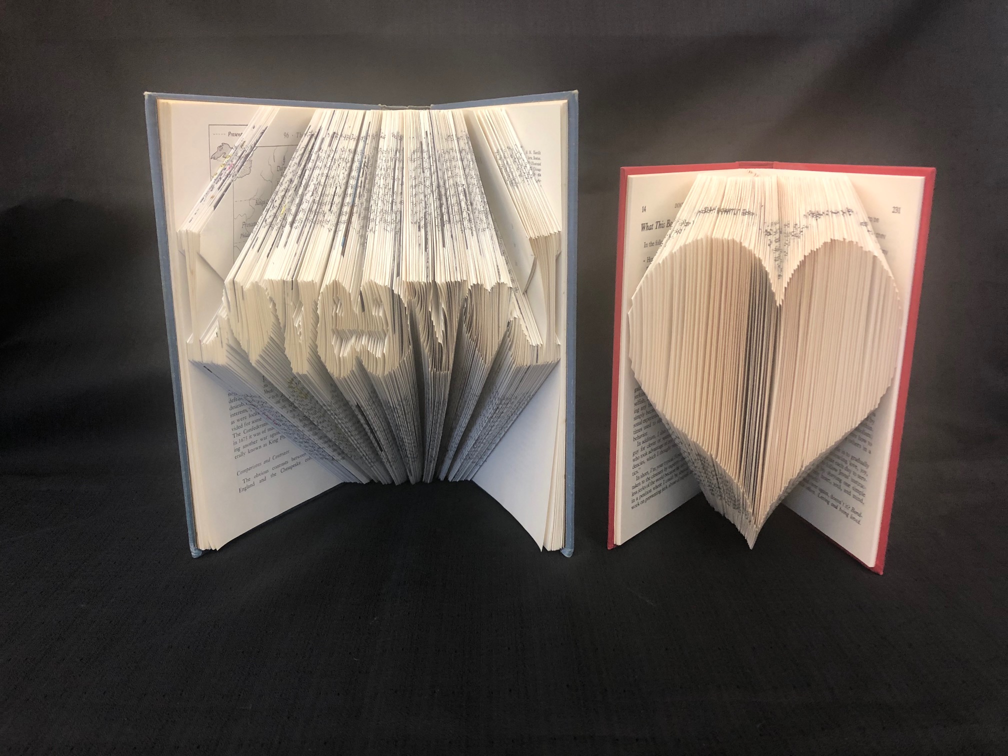 Artsy Adult Craft Book Folding Lee County Library System